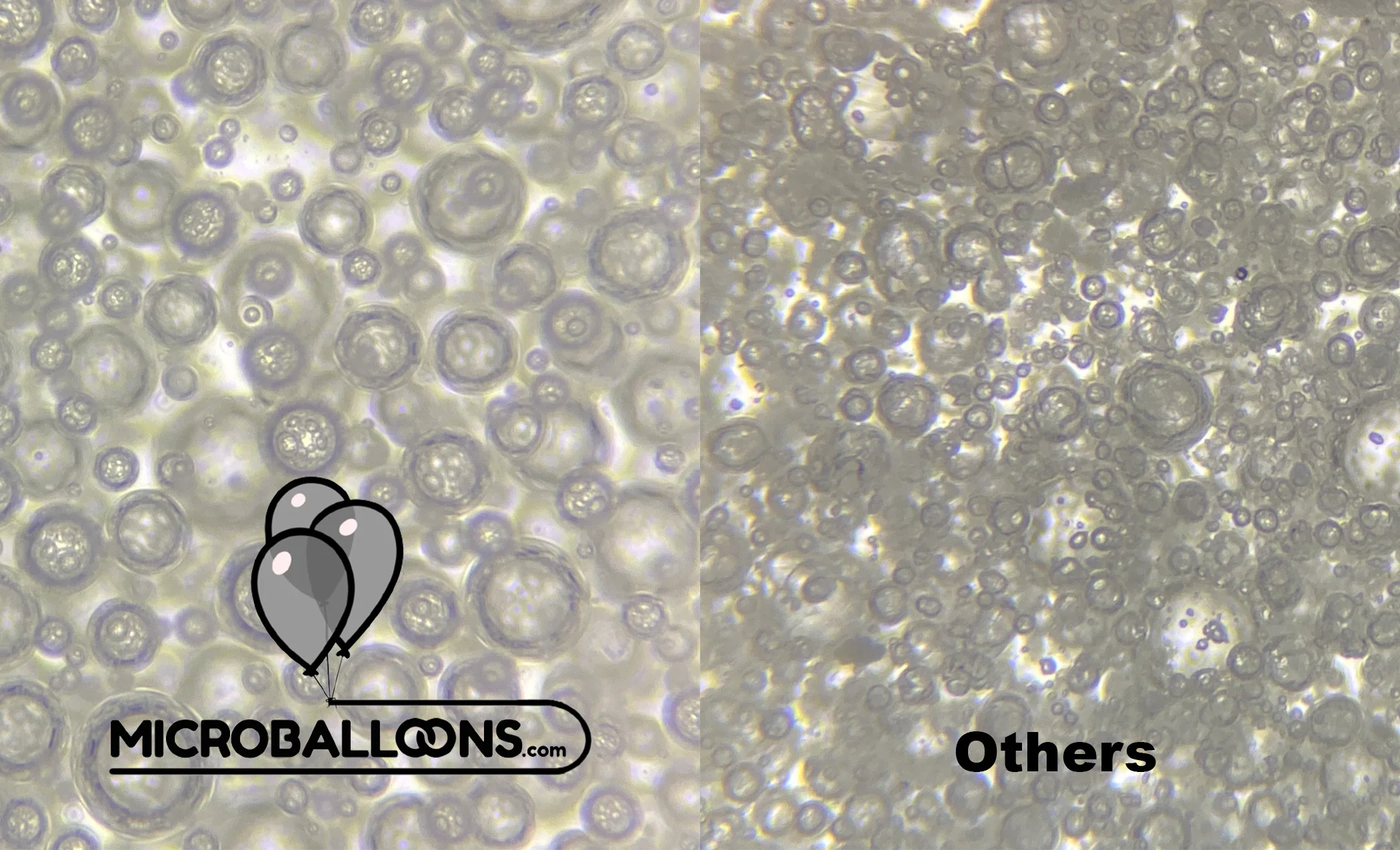 Microballoons.com vs other brands under a microscope